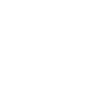 elaishlawfirm-partner